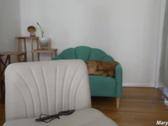 marymoody chaturbate stream image