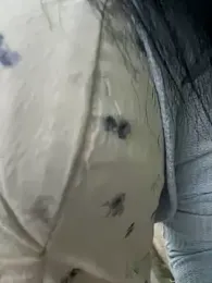 Asia-Melody stripchat stream image