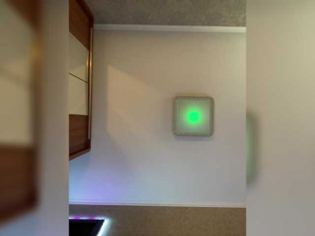 PALMIIRA bongacams stream image