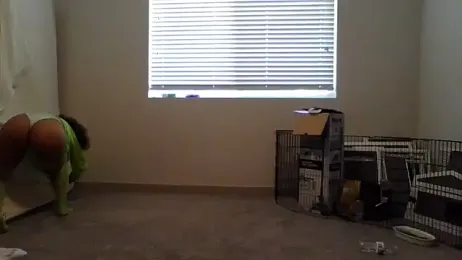 cinnaminnie stripchat stream image, 16.04.2025 18:10