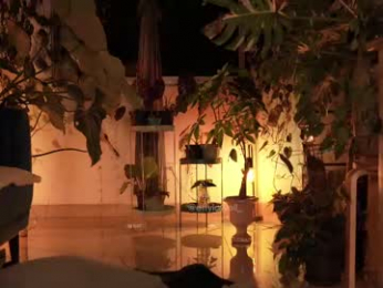 effylowell_ chaturbate stream image