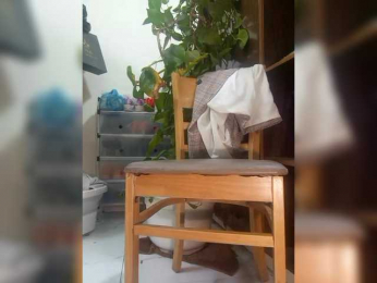 Dream-ari bongacams stream image