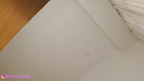 meowmajesty stripchat stream image