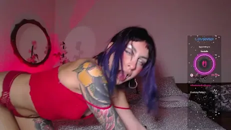 Cinamoonn stripchat stream image