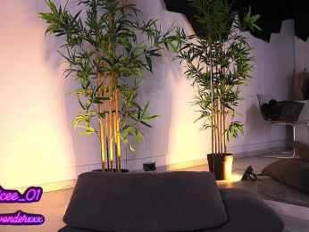 VanesaSimon bongacams stream image