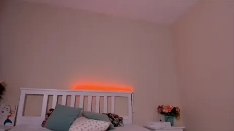 Viv_Player stripchat stream image