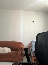 Dahian_XXX stripchat stream image