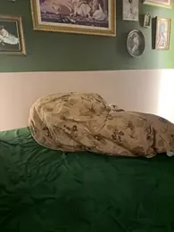 GingerSnap33 stripchat stream image