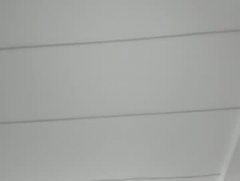 tiffanyhouston_ chaturbate stream image