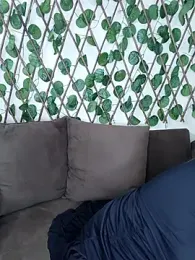 Bold-Cat stripchat stream image