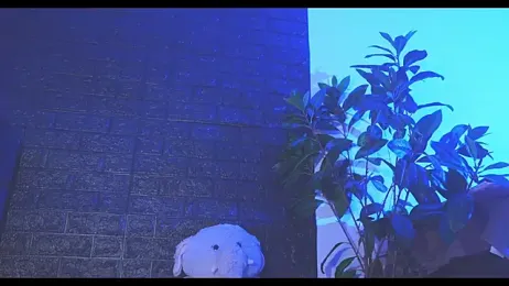 LorenRosse stripchat stream image