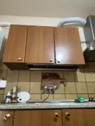 DaisyVibesss stripchat stream image