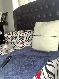 slimcateee stripchat stream image