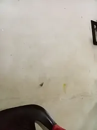 Andreita_95 stripchat stream image