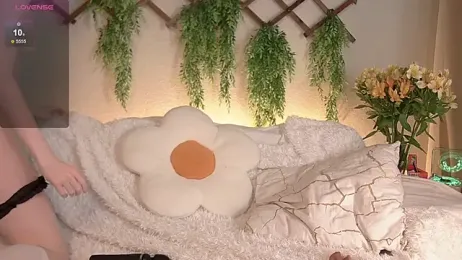 Kellybbface stripchat stream image