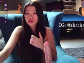 shachatte chaturbate stream image