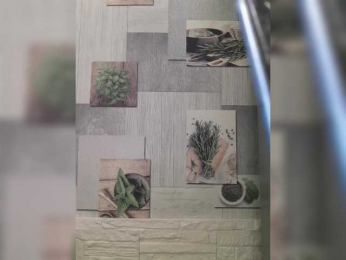 Anesteishen bongacams stream image