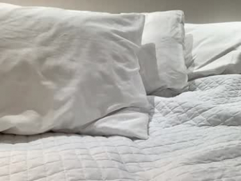 shysashy chaturbate stream image