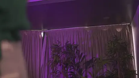 HotSkinnyX stripchat stream image